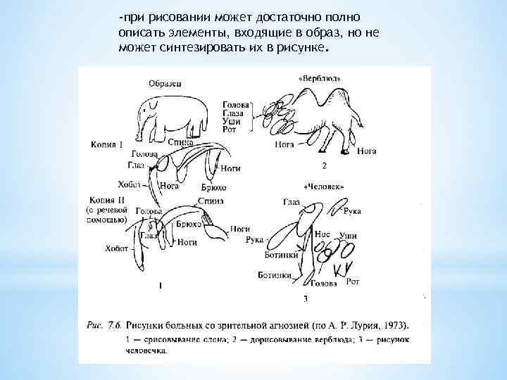 -при рисовании может достаточно полно описать элементы, входящие в образ, но не может синтезировать