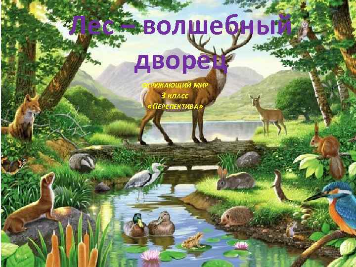 Лес – волшебный дворец ОКРУЖАЮЩИЙ МИР 3 КЛАСС «ПЕРСПЕКТИВА» 