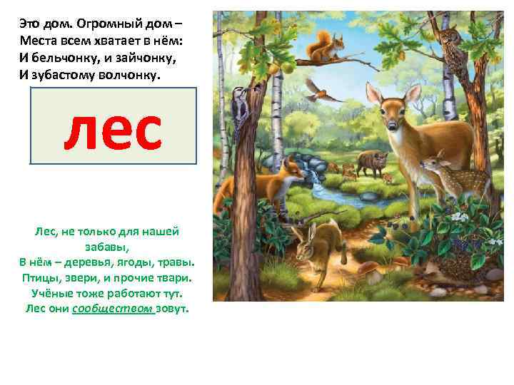 Это дом. Огромный дом – Места всем хватает в нём: И бельчонку, и зайчонку,
