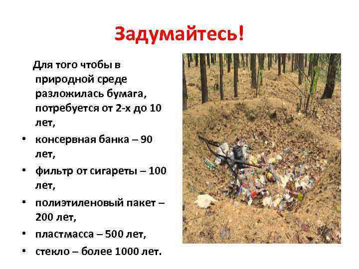 Задумайтесь! Для того чтобы в природной среде разложилась бумага, потребуется от 2 -х до