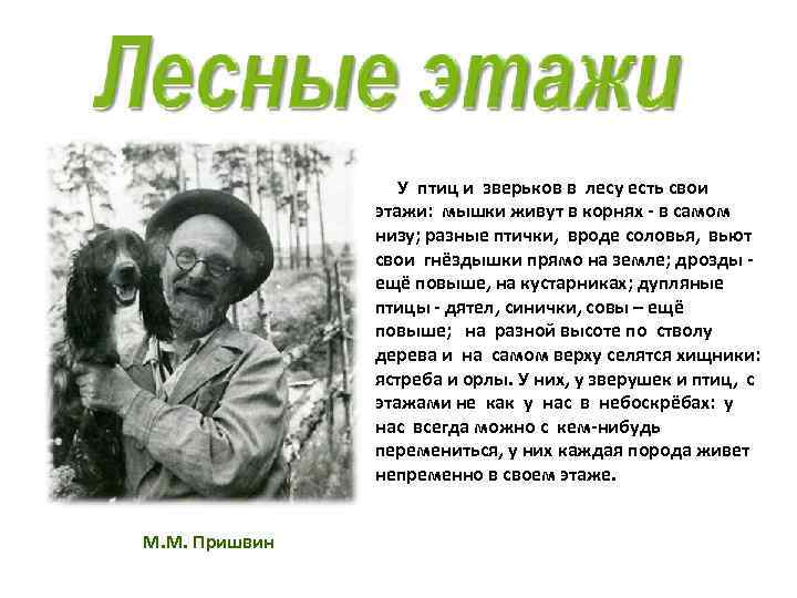 У птиц и зверьков в лесу есть свои этажи: мышки живут в корнях -