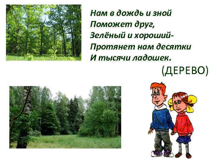 Нам в дождь и зной Поможет друг, Зелёный и хороший. Протянет нам десятки И