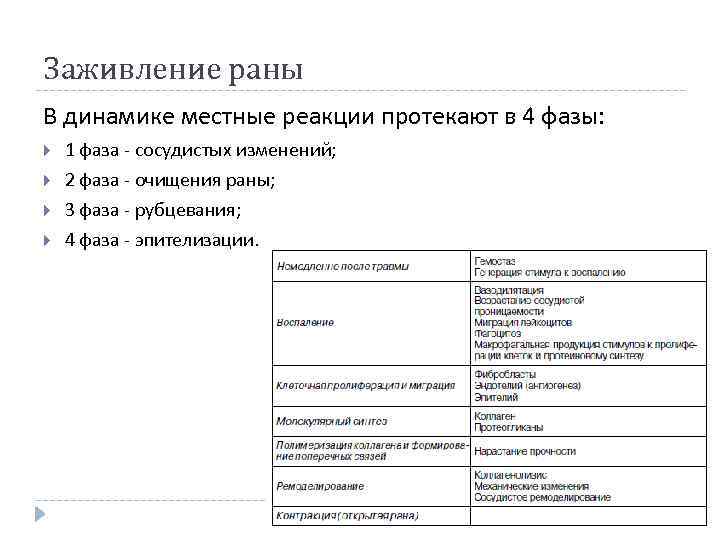 Заживление раны В динамике местные реакции протекают в 4 фазы: 1 фаза - сосудистых