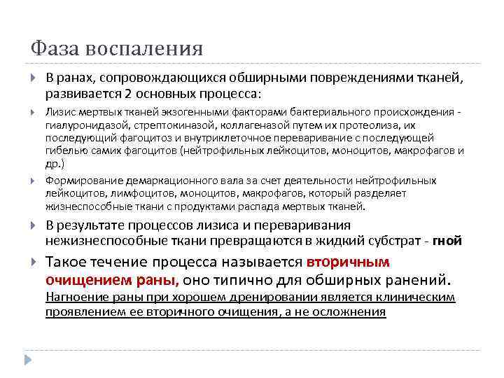 Фаза воспаления В ранах, сопровождающихся обширными повреждениями тканей, развивается 2 основных процесса: Лизис мертвых