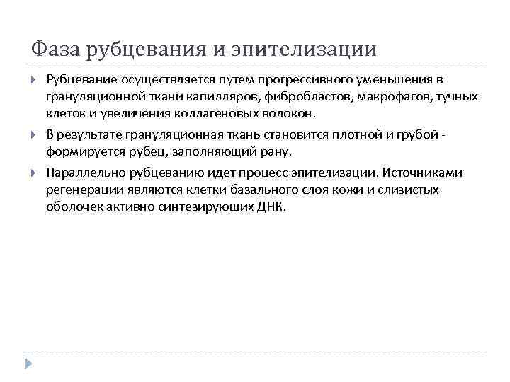 Фаза рубцевания и эпителизации Рубцевание осуществляется путем прогрессивного уменьшения в грануляционной ткани капилляров, фибробластов,