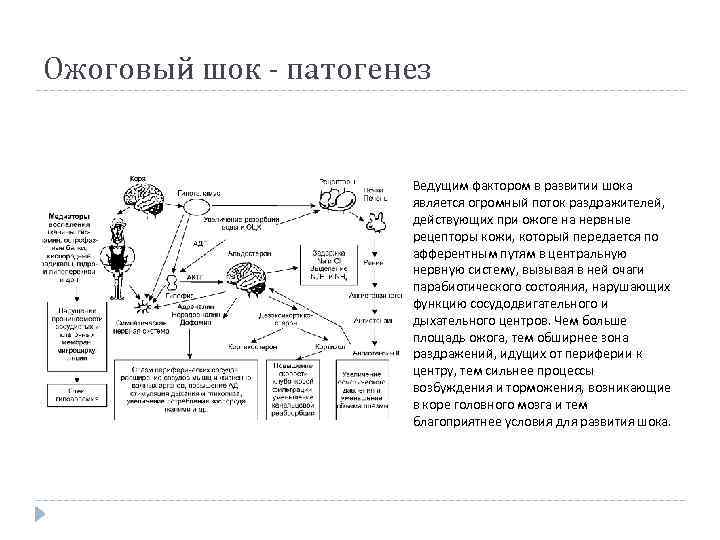 Ожоговый шок патогенез схема