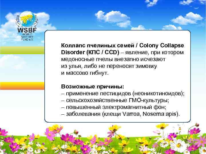 Коллапс пчелиных семей / Colony Collapse Disorder (КПС / CCD) – явление, при котором