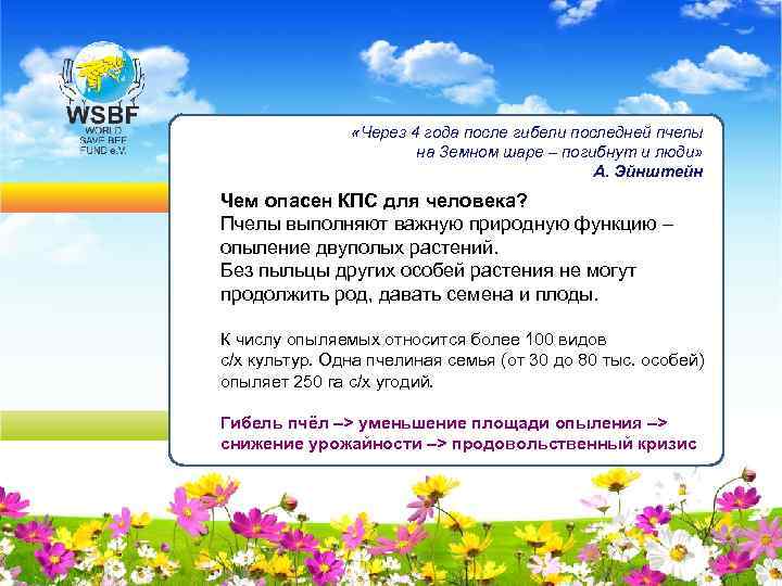  «Через 4 года после гибели последней пчелы на Земном шаре – погибнут и