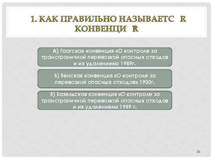 А) Гаагская конвенция «О контроле за трансграничной перевозкой опасных отходов и их удалением» 1989