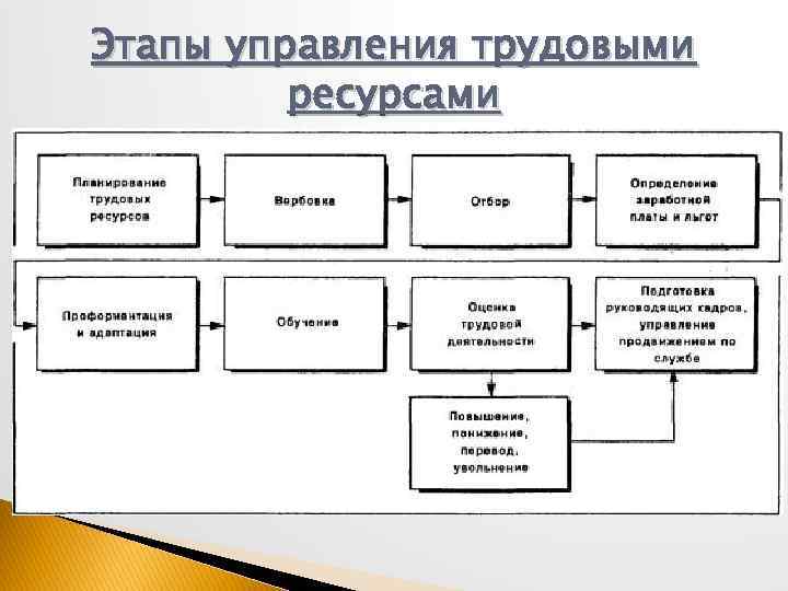 Этапы управления трудовыми ресурсами 