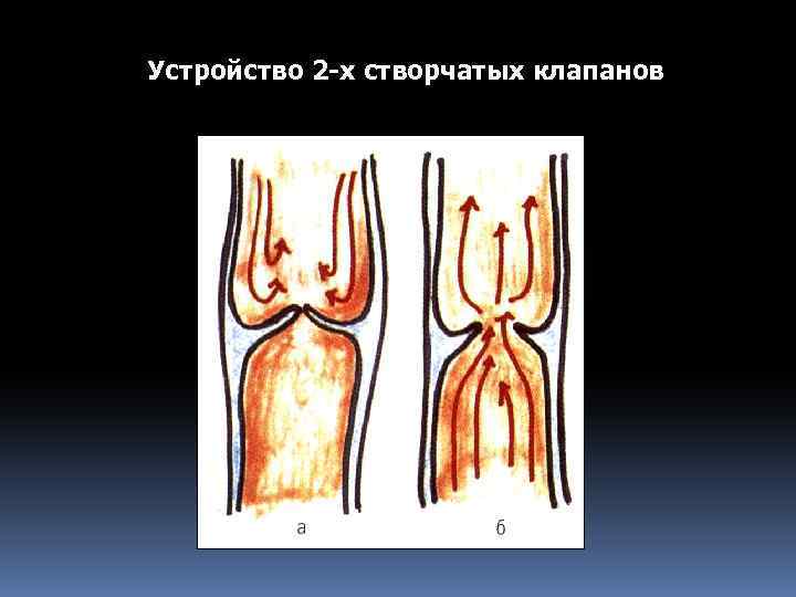 Устройство 2 -х створчатых клапанов 