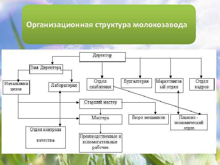 Организационная структура молочного завода схема