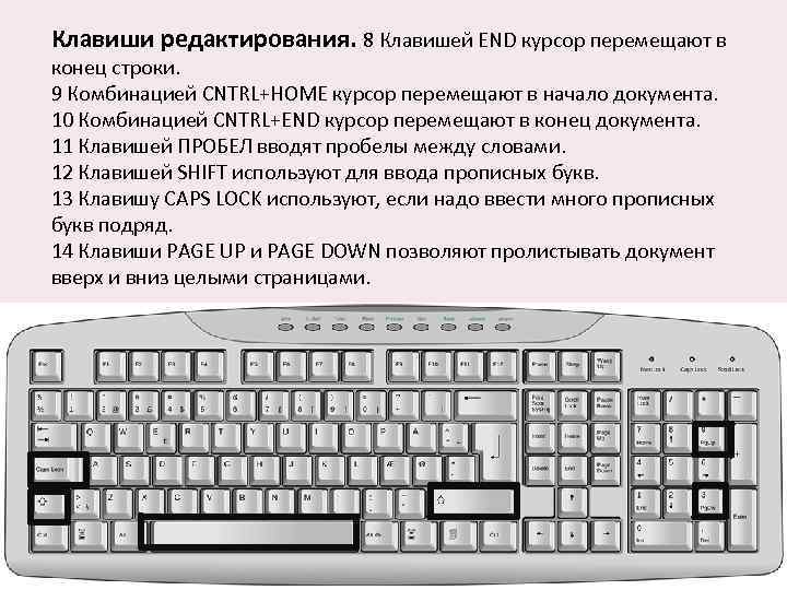 Клавиши редактирования. 8 Клавишей END курсор перемещают в конец строки. 9 Комбинацией CNTRL+HOME курсор