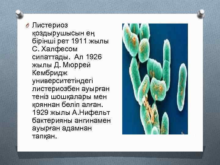 O Листериоз қоздырушысын ең бірінші рет 1911 жылы С. Халфесом сипаттады. Ал 1926 жылы