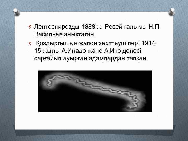 O Лептоспирозды 1888 ж. Ресей ғалымы Н. П. Васильев анықтаған. O Қоздырғышын жапон зерттеушілері