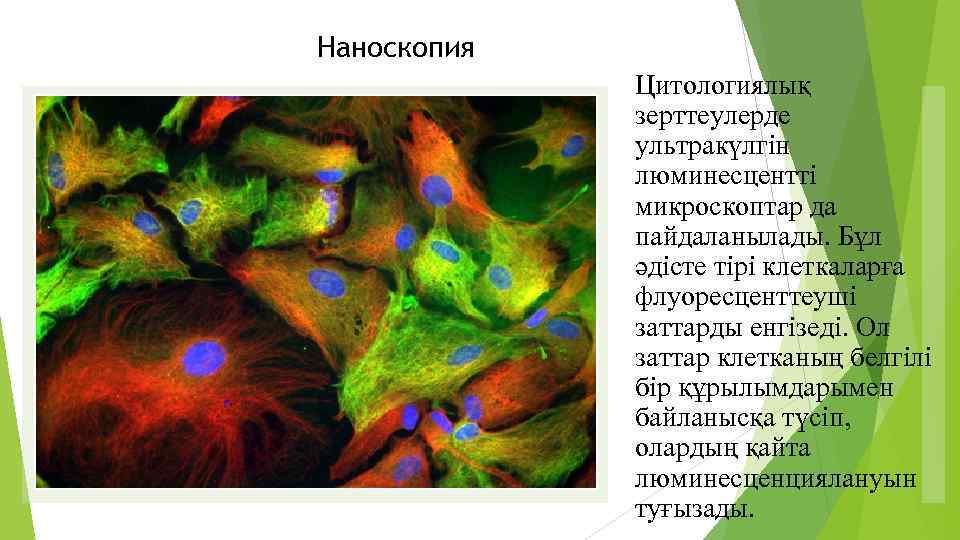 Наноскопия Цитологиялық зерттеулерде ультракүлгін люминесцентті микроскоптар да пайдаланылады. Бұл әдісте тірі клеткаларға флуоресценттеуші заттарды