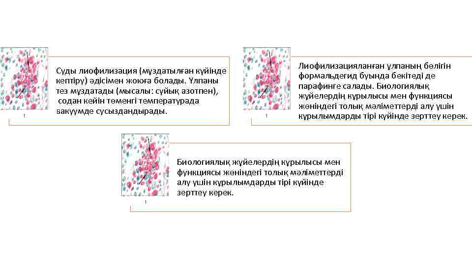 Суды лиофилизация (мұздатылған күйінде кептіру) әдісімен жоюға болады. Үлпаны тез мұздатады (мысалы: сүйық азотпен),