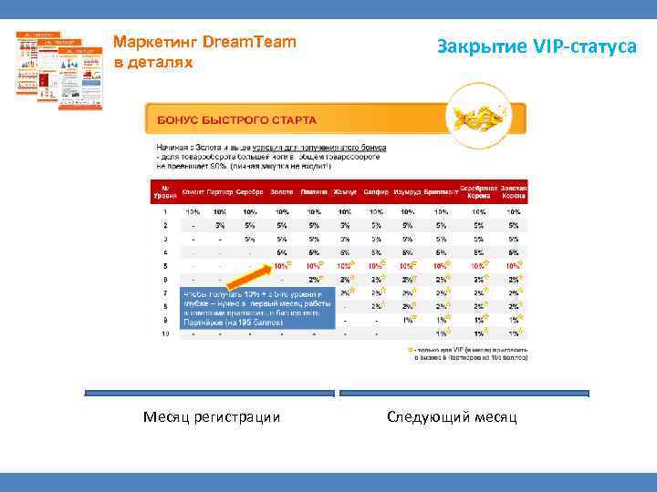 Маркетинг Dream. Team в деталях Месяц регистрации Закрытие VIP-статуса Следующий месяц 