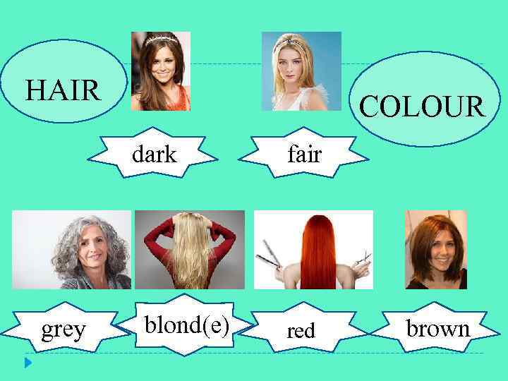 HAIR Hair COLOUR fair dark grey blond(e) fair red Brown brown 