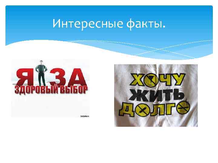 Интересные факты. 