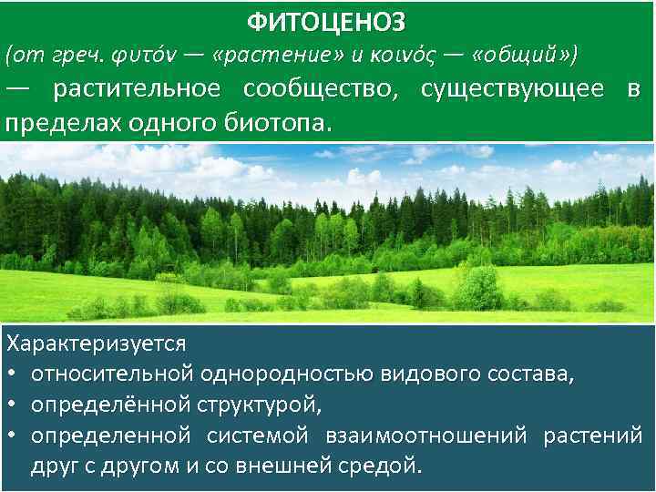 ФИТОЦЕНОЗ Виды ценозов (от греч. φυτóν — «растение» и κοινός — «общий» ) —