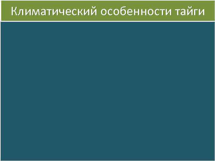 Климатический особенности тайги 