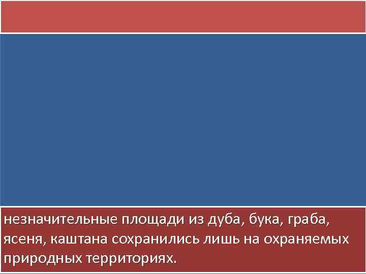 незначительные площади из дуба, бука, граба, ясеня, каштана сохранились лишь на охраняемых природных территориях.