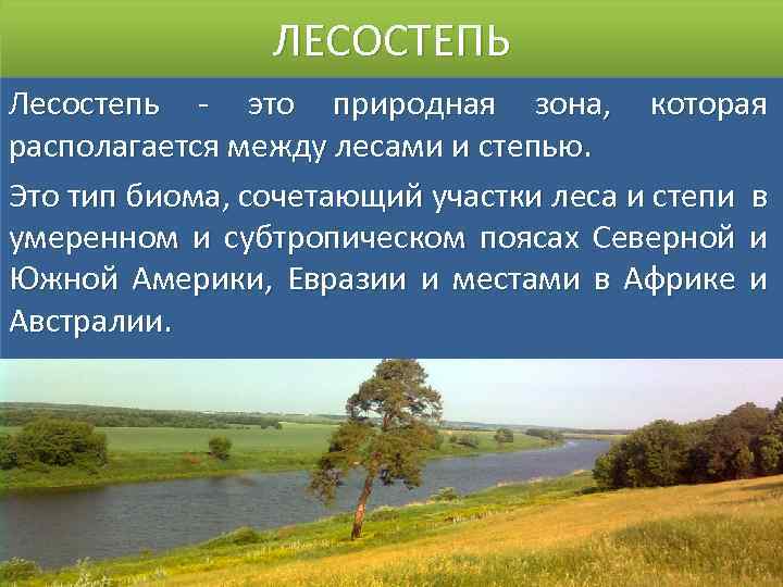 ЛЕСОСТЕПЬ Лесостепь - это природная зона, которая располагается между лесами и степью. Это тип