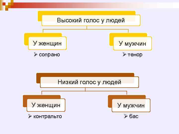 Высокий голос у людей У женщин У мужчин Ø сопрано Ø тенор Низкий голос