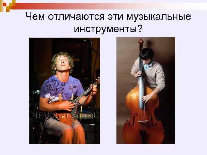 Чем отличаются эти музыкальные инструменты? 
