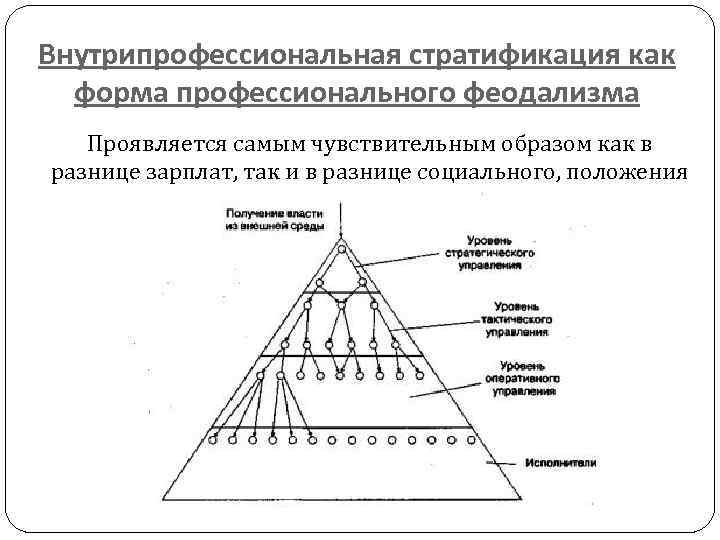 Структура стратификация