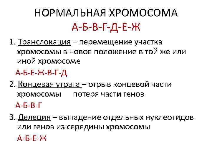 НОРМАЛЬНАЯ ХРОМОСОМА А-Б-В-Г-Д-Е-Ж 1. Транслокация – перемещение участка хромосомы в новое положение в той