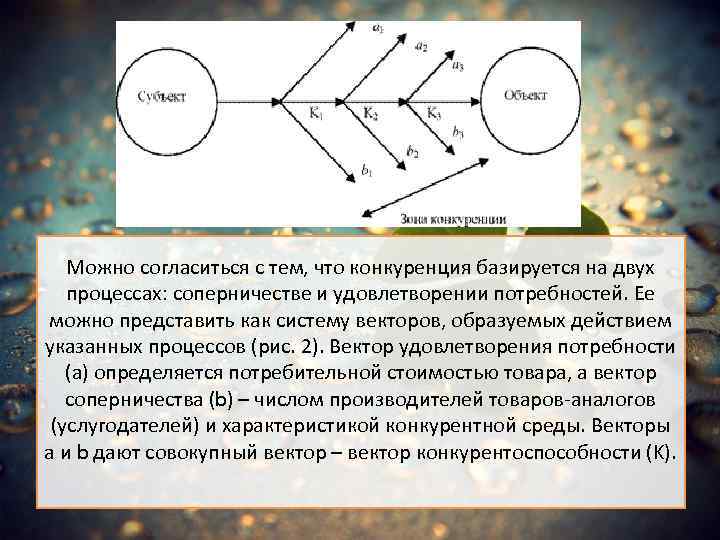 Двойной процесс. На каких процессах базируется конкуренция?. Конкуренция базируется на 2 процессах. Конкуренция как система вектора. На каких процессах базируетс.