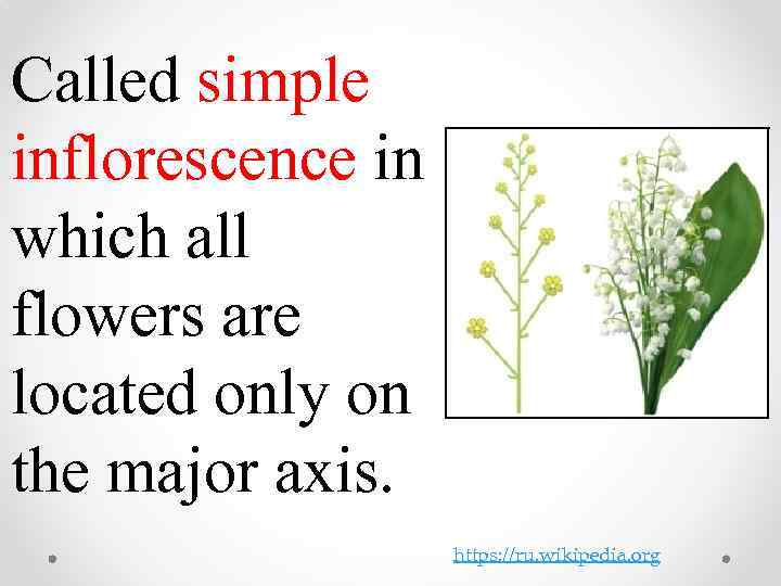 Сalled simple inflorescence in which all flowers are located only on the major axis.