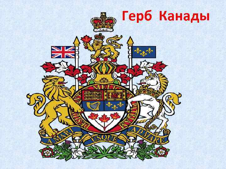 Канадский герб. Герб Канады. Герб Канады альтернативный.