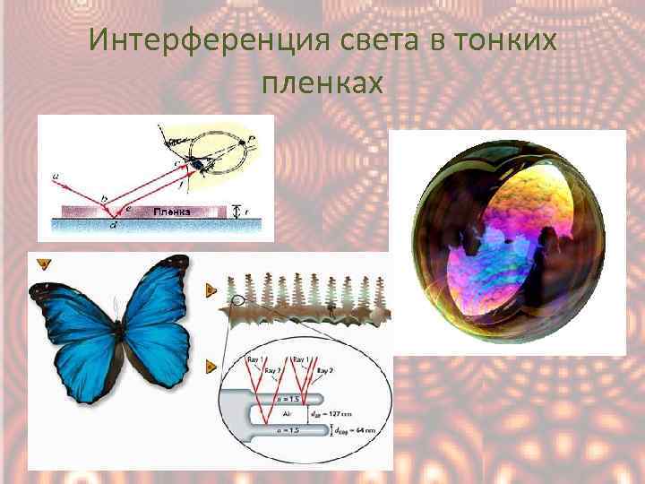 Интерференция света в тонких пленках 