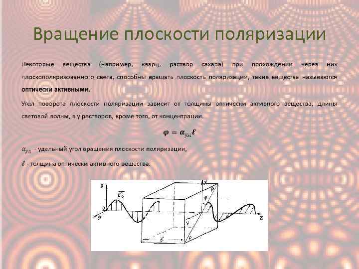 Плоскость поляризации