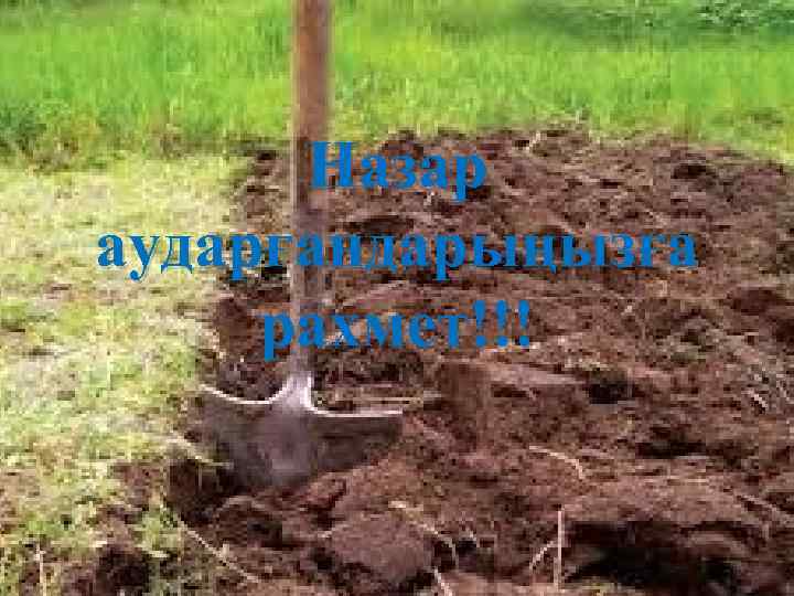 Назар аударғандарыңызға рахмет!!! 