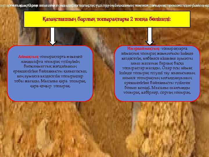 рақтартопырақтарға жекелей ландшафта топырақ түзілуінің биоклиматтық жағдайының ерекшелігіне байланы жатады. Олар осы аймақ ішінде