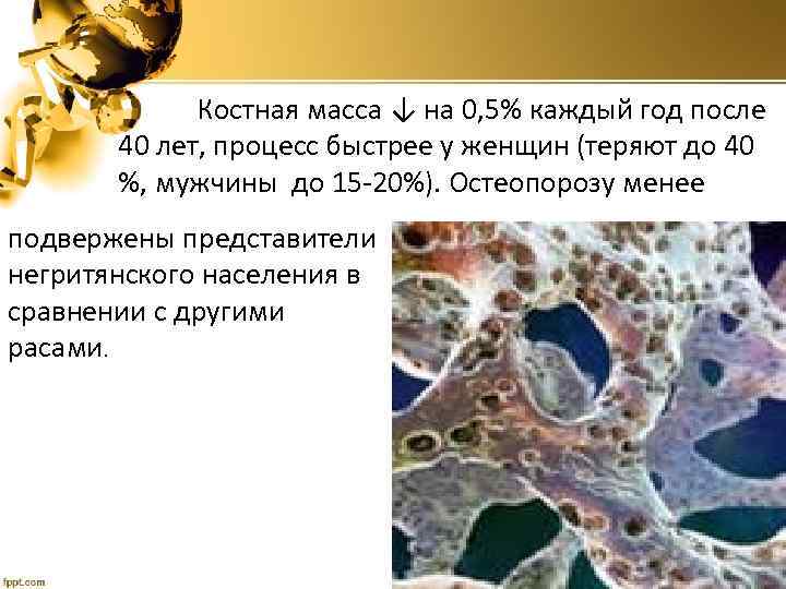 Костная масса ↓ на 0, 5% каждый год после 40 лет, процесс быстрее у