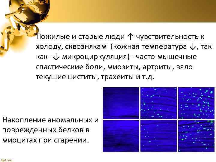 Пожилые и старые люди ↑ чувствительность к холоду, сквознякам (кожная температура ↓, так как