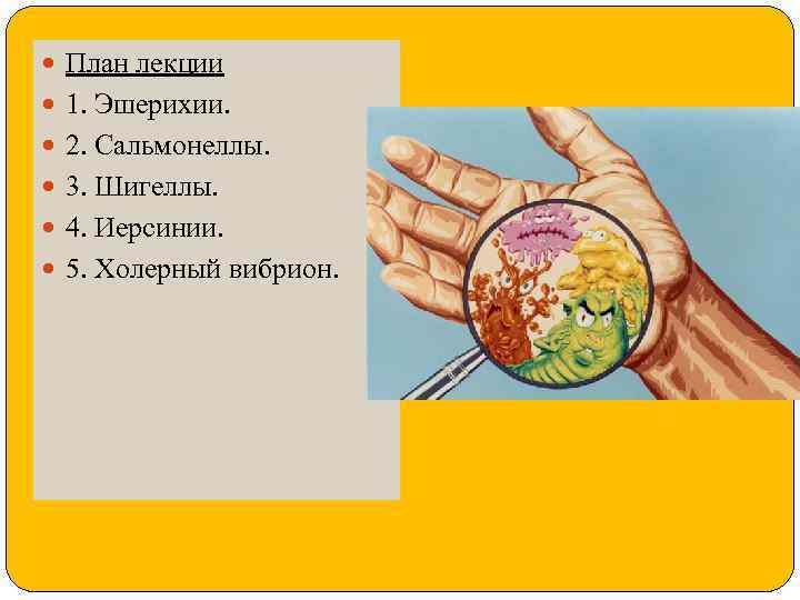  План лекции 1. Эшерихии. 2. Сальмонеллы. 3. Шигеллы. 4. Иерсинии. 5. Холерный вибрион.