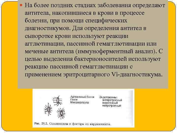  На более поздних стадиях заболевания определяют антитела, накопившиеся в крови в процессе болезни,