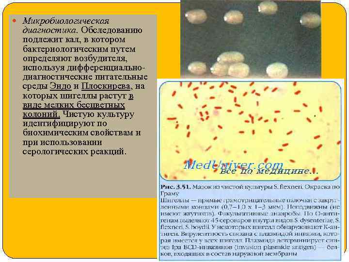  Микробиологическая диагностика. Обследованию подлежит кал, в котором бактериологическим путем определяют возбудителя, используя дифференциальнодиагностические