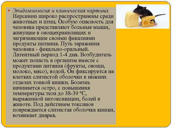  Эпидемиология и клиническая картина. Иерсинии широко распространены среди животных и птиц. Особую опасность