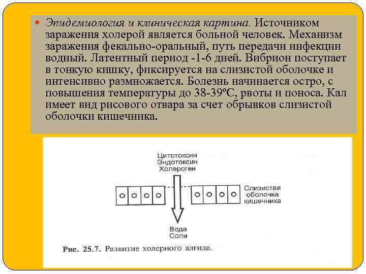  Эпидемиология и клиническая картина. Источником заражения холерой является больной человек. Механизм заражения фекально-оральный,