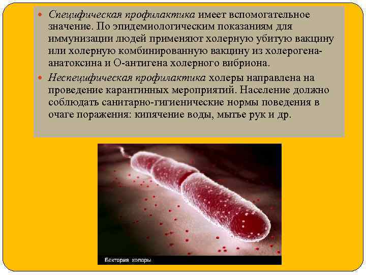  Специфическая профилактика имеет вспомогательное значение. По эпидемиологическим показаниям для иммунизации людей применяют холерную