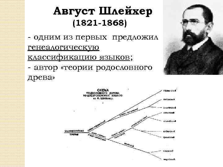 Август Шлейхер (1821 -1868) - одним из первых предложил генеалогическую классификацию языков; - автор