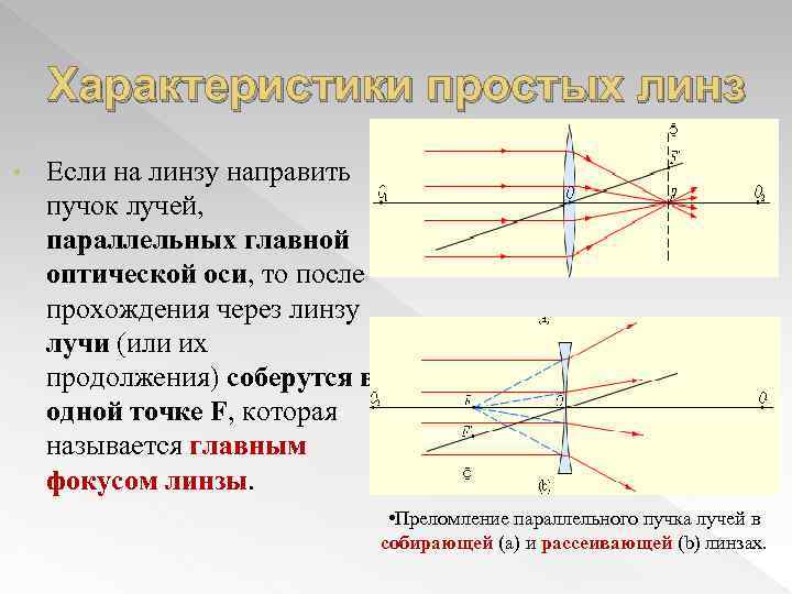 Характеристики простых линз • Если на линзу направить пучок лучей, параллельных главной оптической оси,