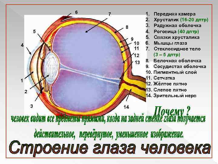 6 5 7 8 9 4 1 2 3 14 10 11 12 13